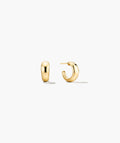 Dôme Hoops