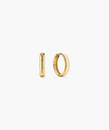 Charlotte Textured Hoops