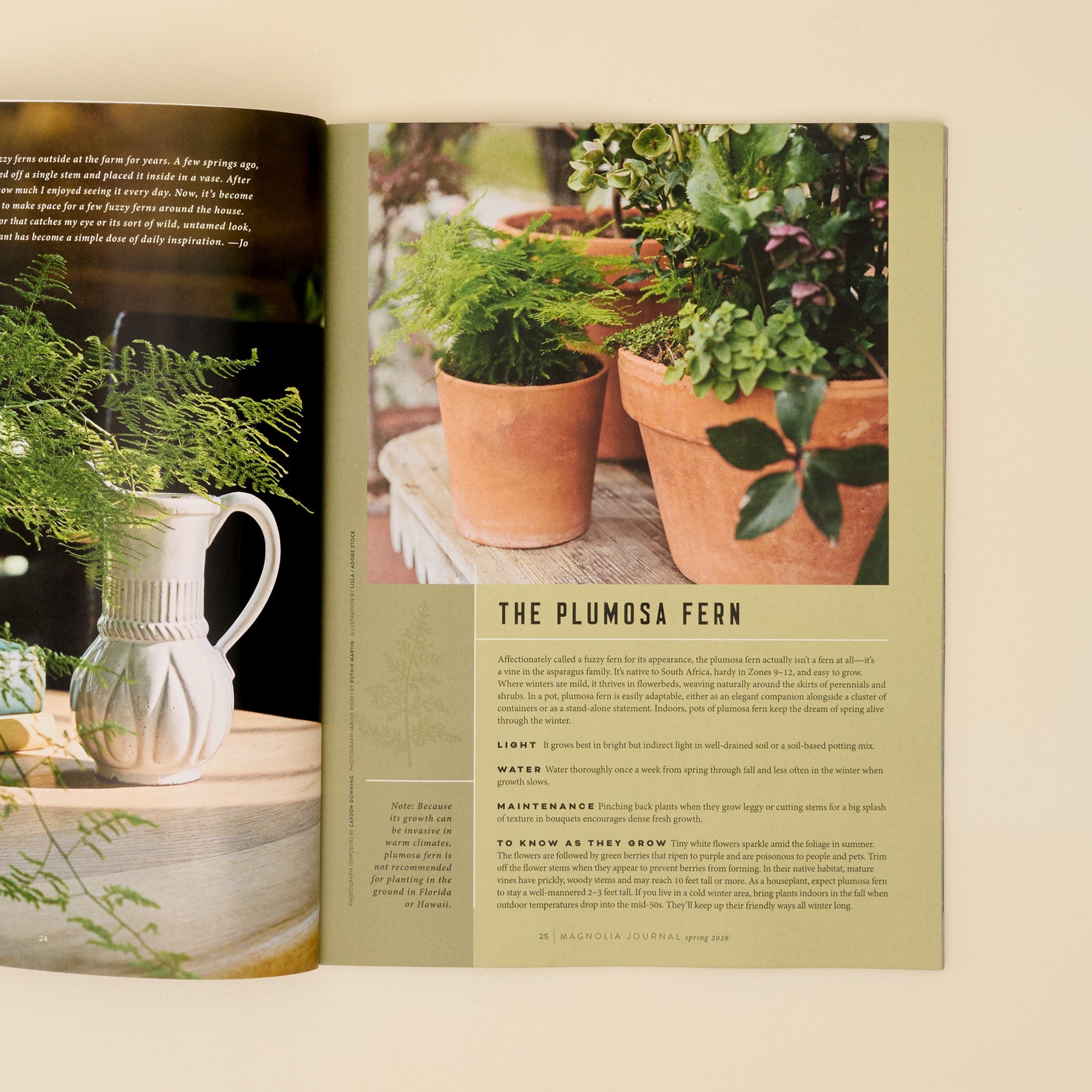 Magnolia Journal Spring 2026