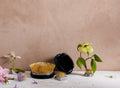 Kenzan Floral Frogs