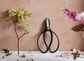 Koryu Ikebana Scissors