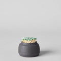 Stoneware Match Strike Pot