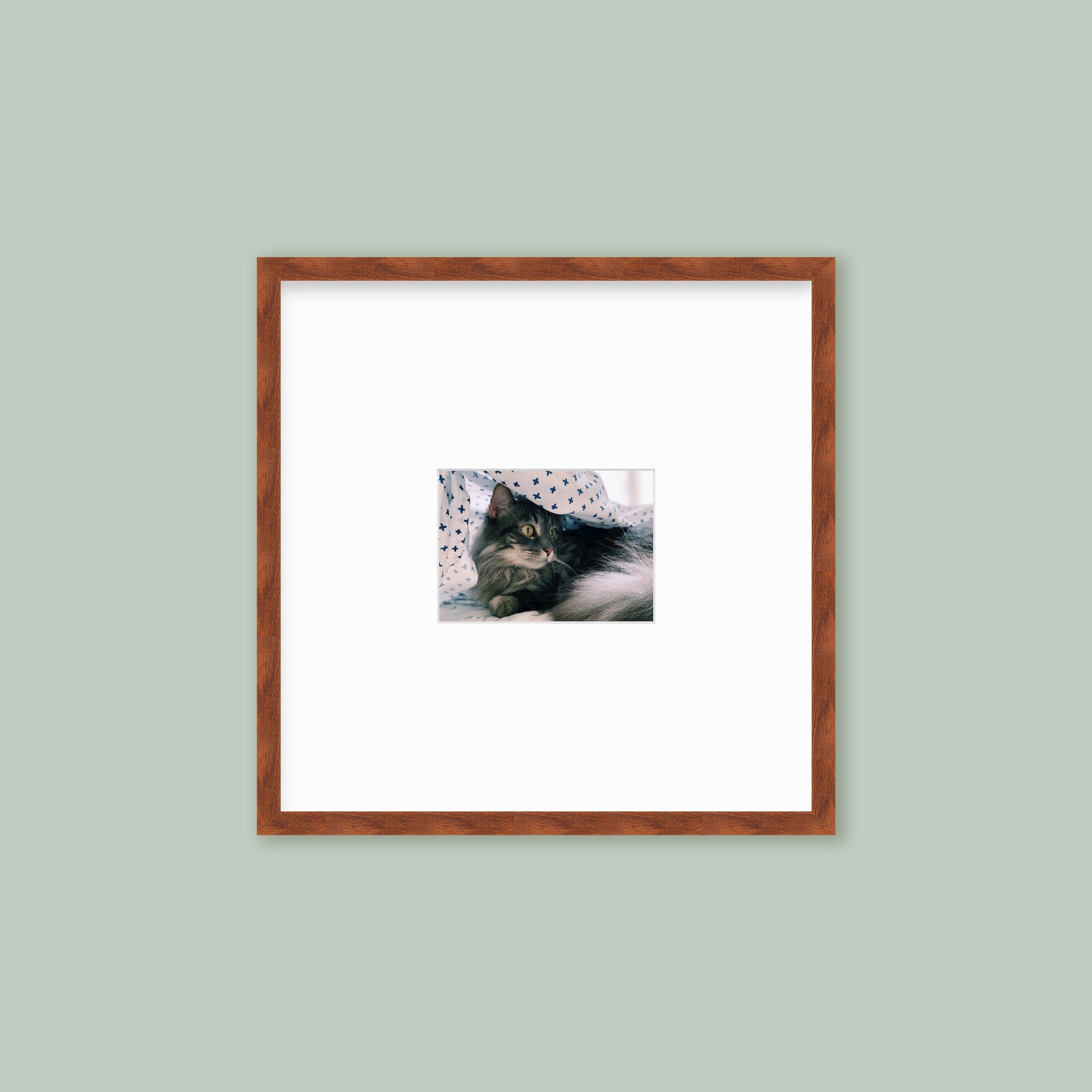 The Half Wall Grid: Single Frame