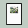 The Triptych: Single Frame