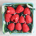 Beeswax Raspberry Birthday Candles by Happy Organics