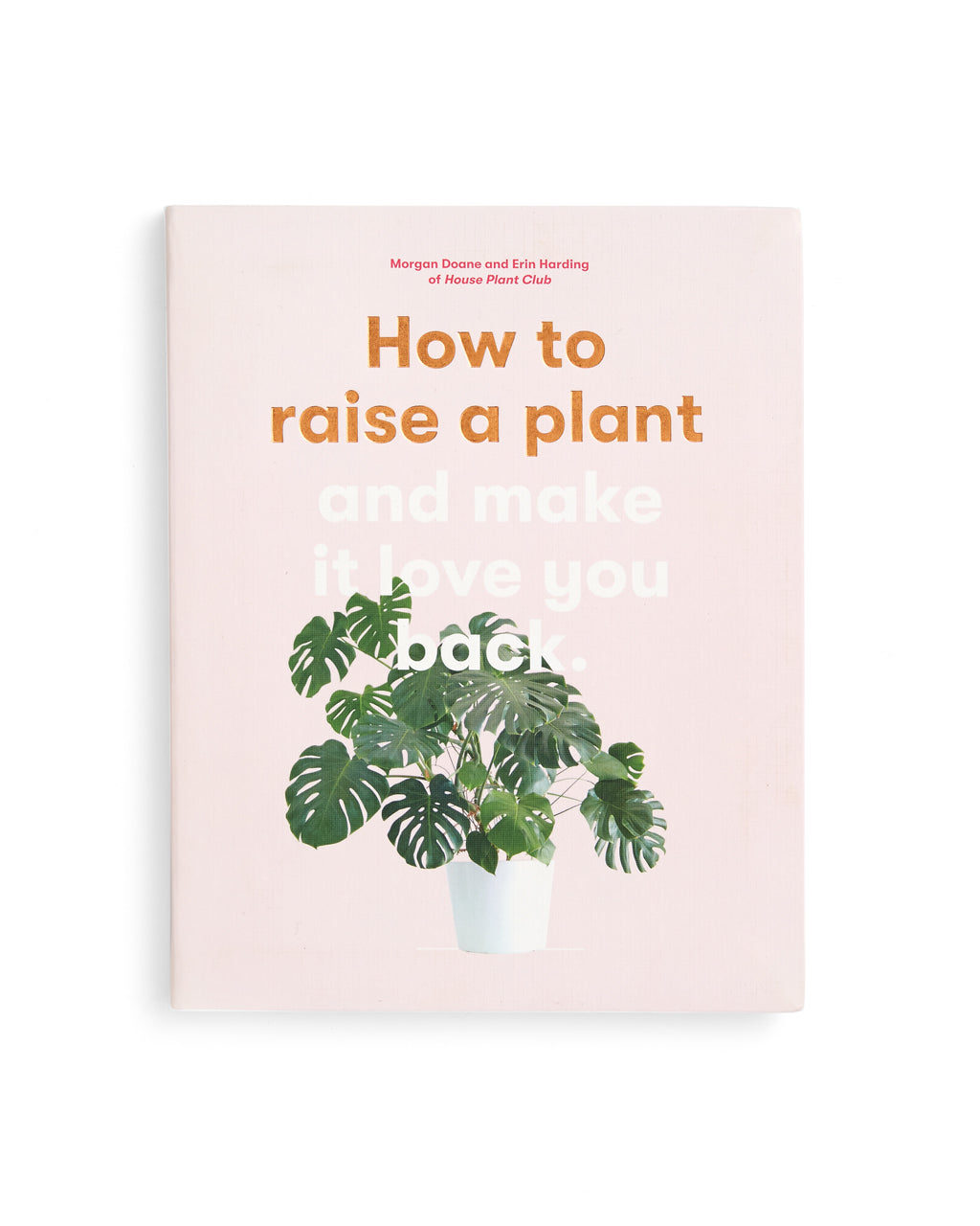 How to Raise a Plant and Make It Love You Back