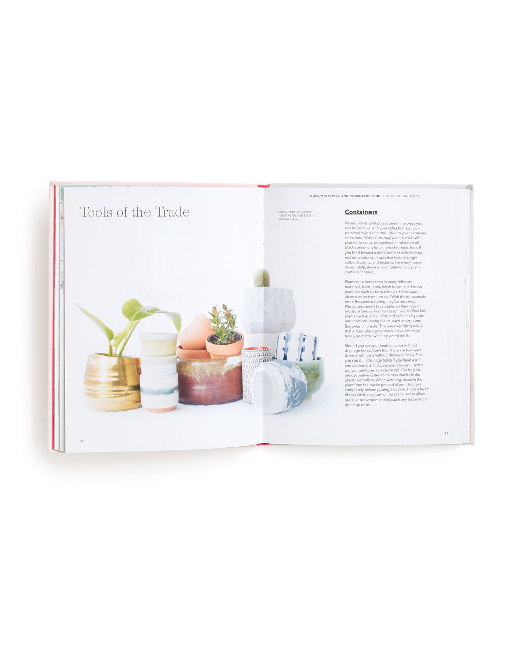 How to Raise a Plant and Make It Love You Back