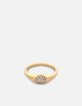 Thin Horizon Signet Ring, Gold Vermeil/Sapphire