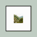 The Oversized Grid: Single Frame