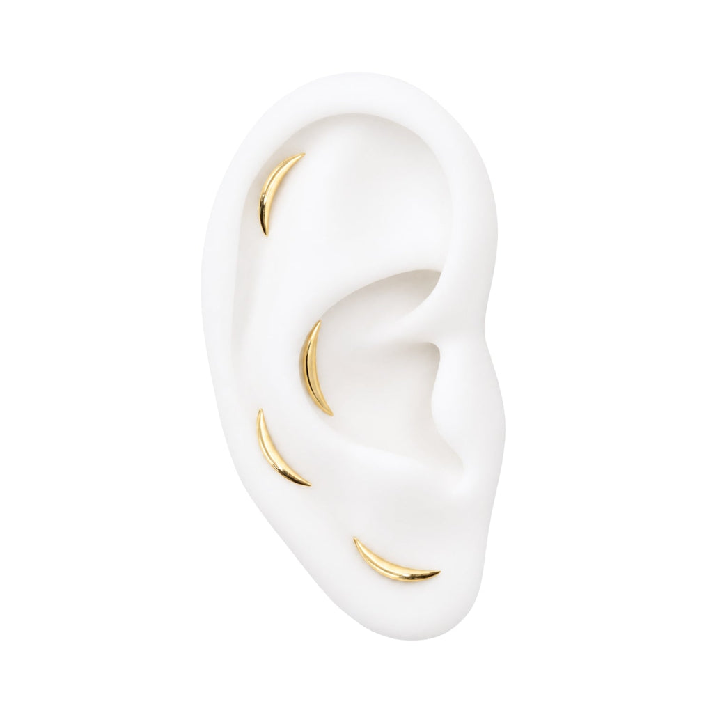 High Polish Curved Earring