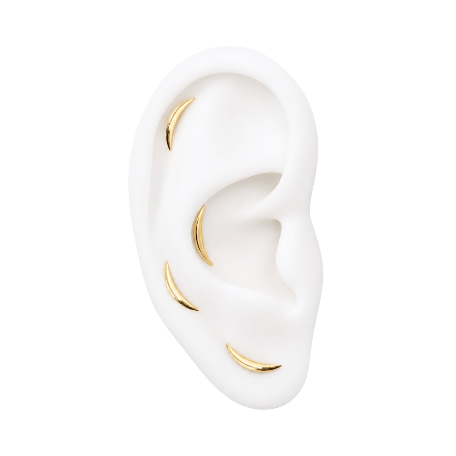 High Polish Curved Earring