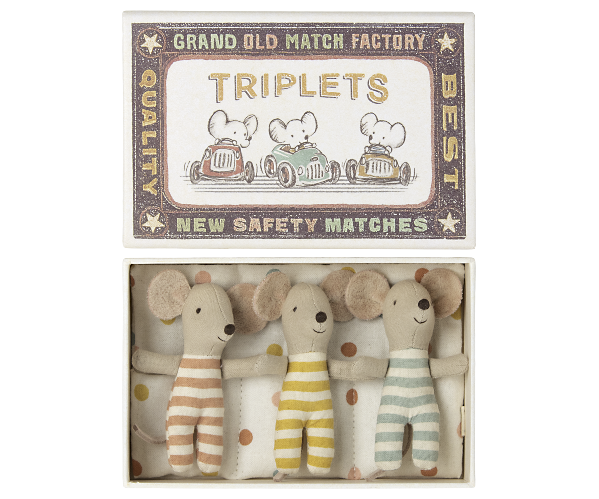 Triplets, Baby mice in matchbox