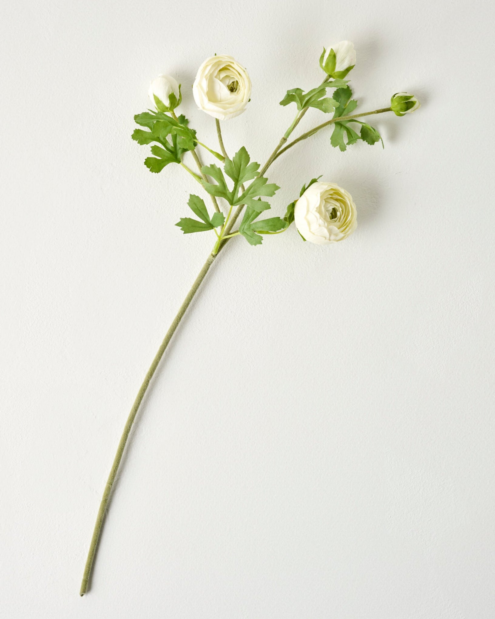 Real Touch Ranunculus Stem