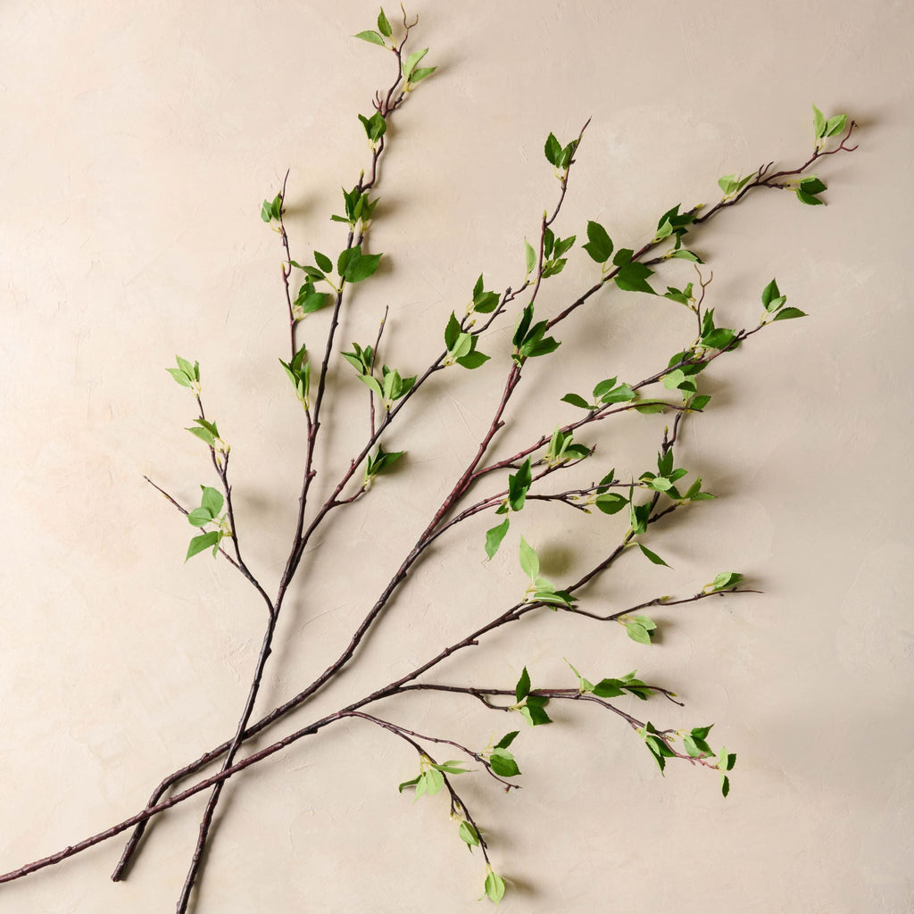 Green Leaf Branch