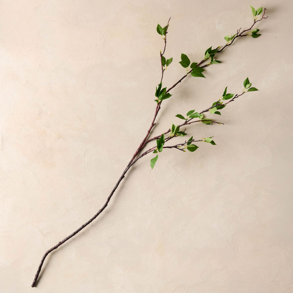 Green Leaf Branch