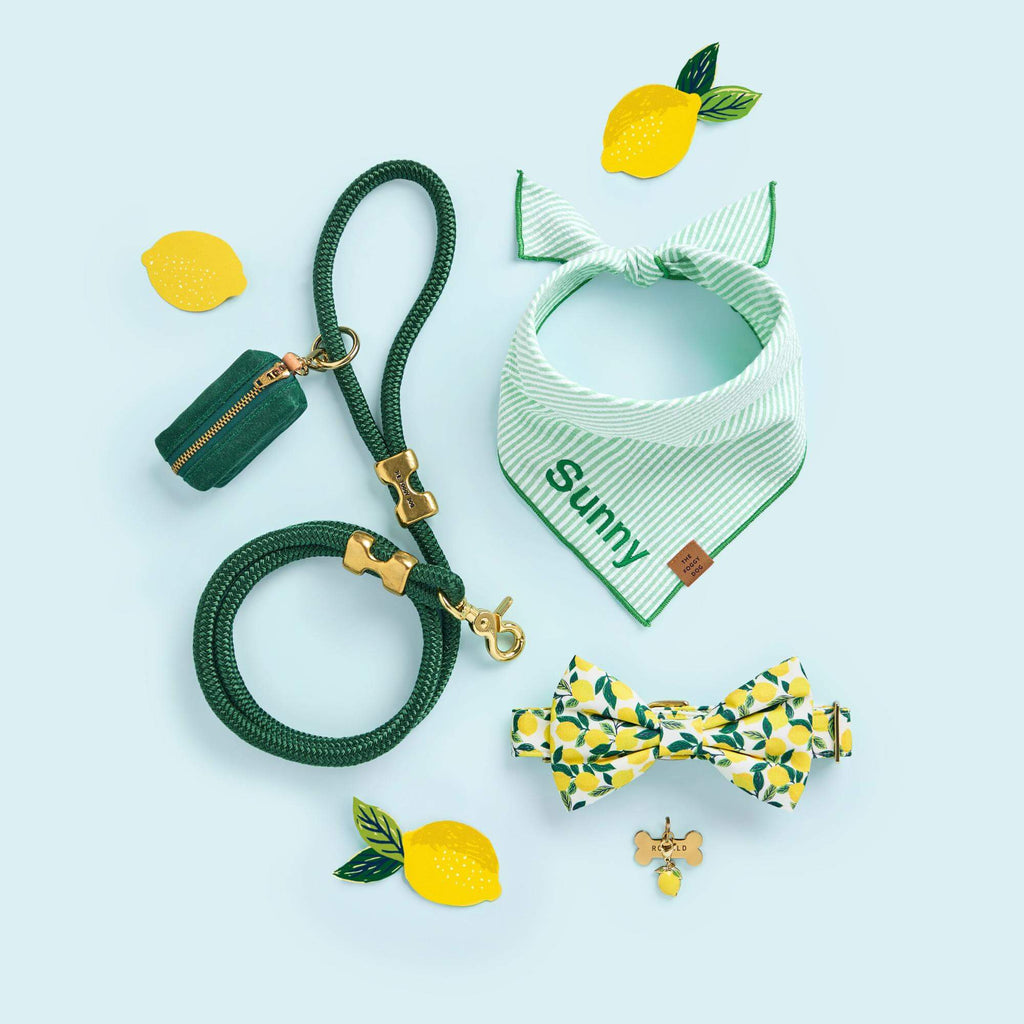 Lemon Zest Dog Bow Tie