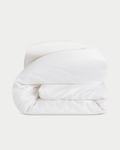 Cozy Earth Comforters - Wholesale