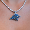 Carolina Panthers Official NFL Pendant