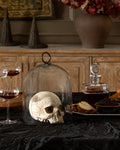 Resin Skull Object