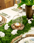 Glass Cloche with Woven Base