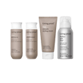 No Frizz Frizz-free Hair Essentials