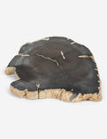 Farzana Petrified Wood Slab
