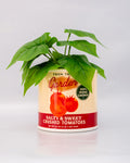 Tomato Can Ceramic Planter