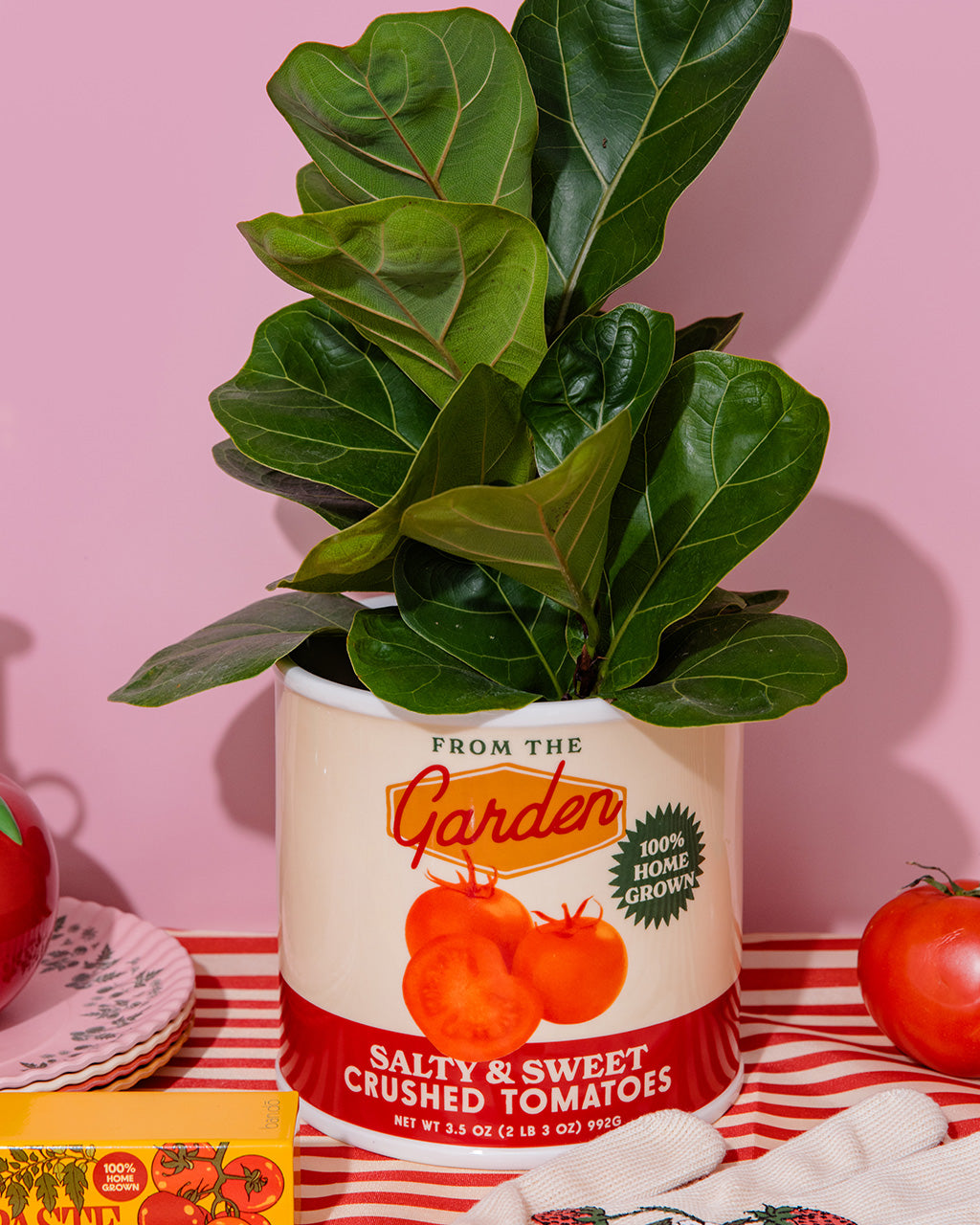 Tomato Can Ceramic Planter