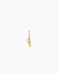 Seahorse Parker Charm