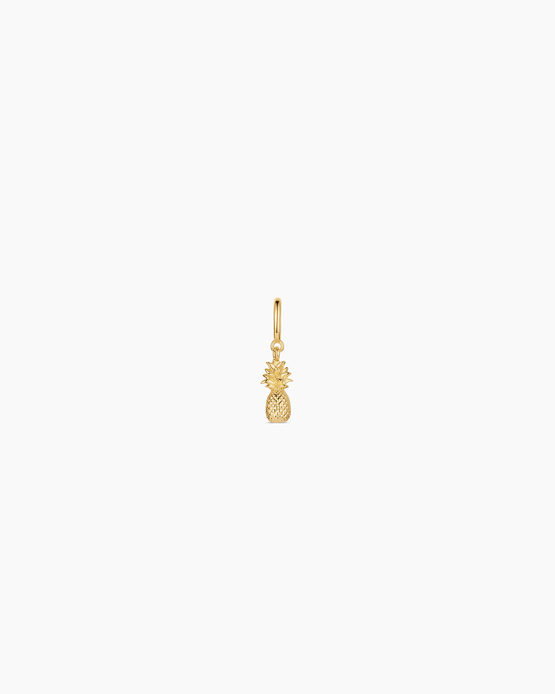 Pineapple Parker Charm