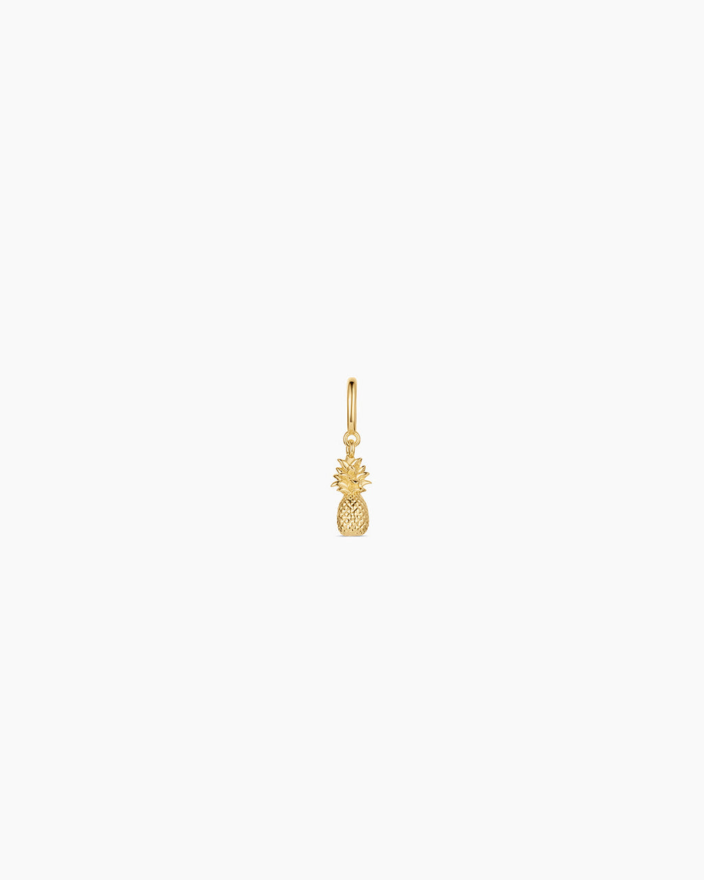 Pineapple Parker Charm