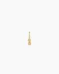 Pineapple Parker Charm