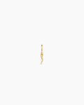 Italian Horn Parker Charm