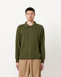 Lafayette Polo in Green
