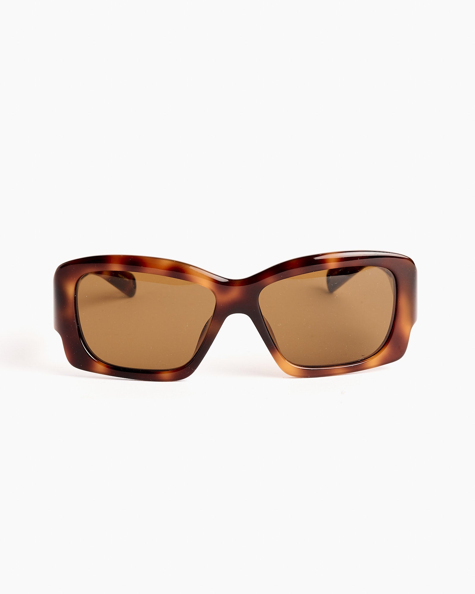 Croisiere Sunglasses in T-Shell/Silver/Brown