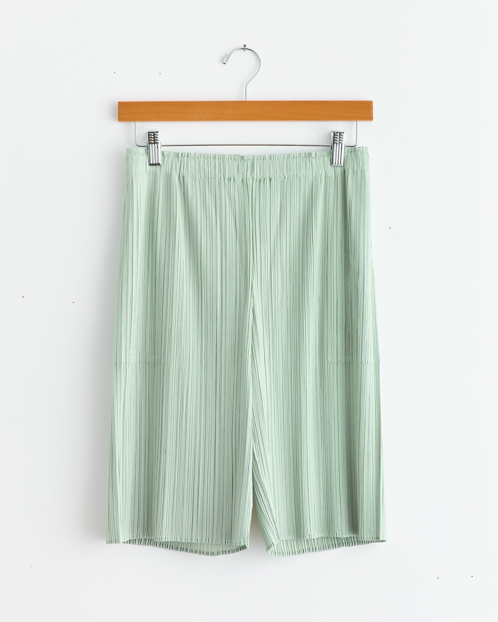 Monthly Colors June Shorts in Pastel Green