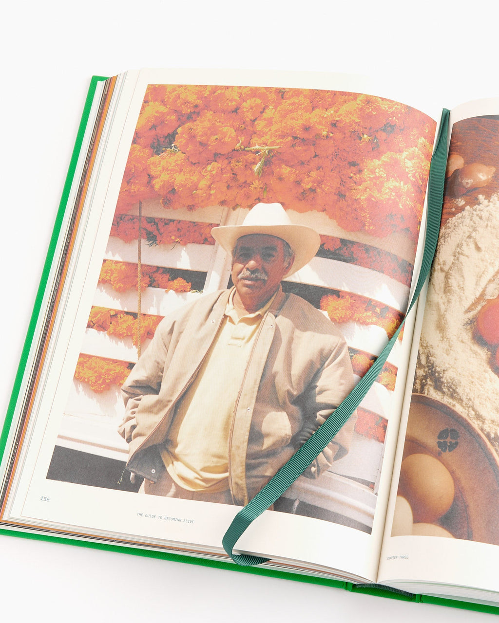 The Guide To Becoming Alive Book