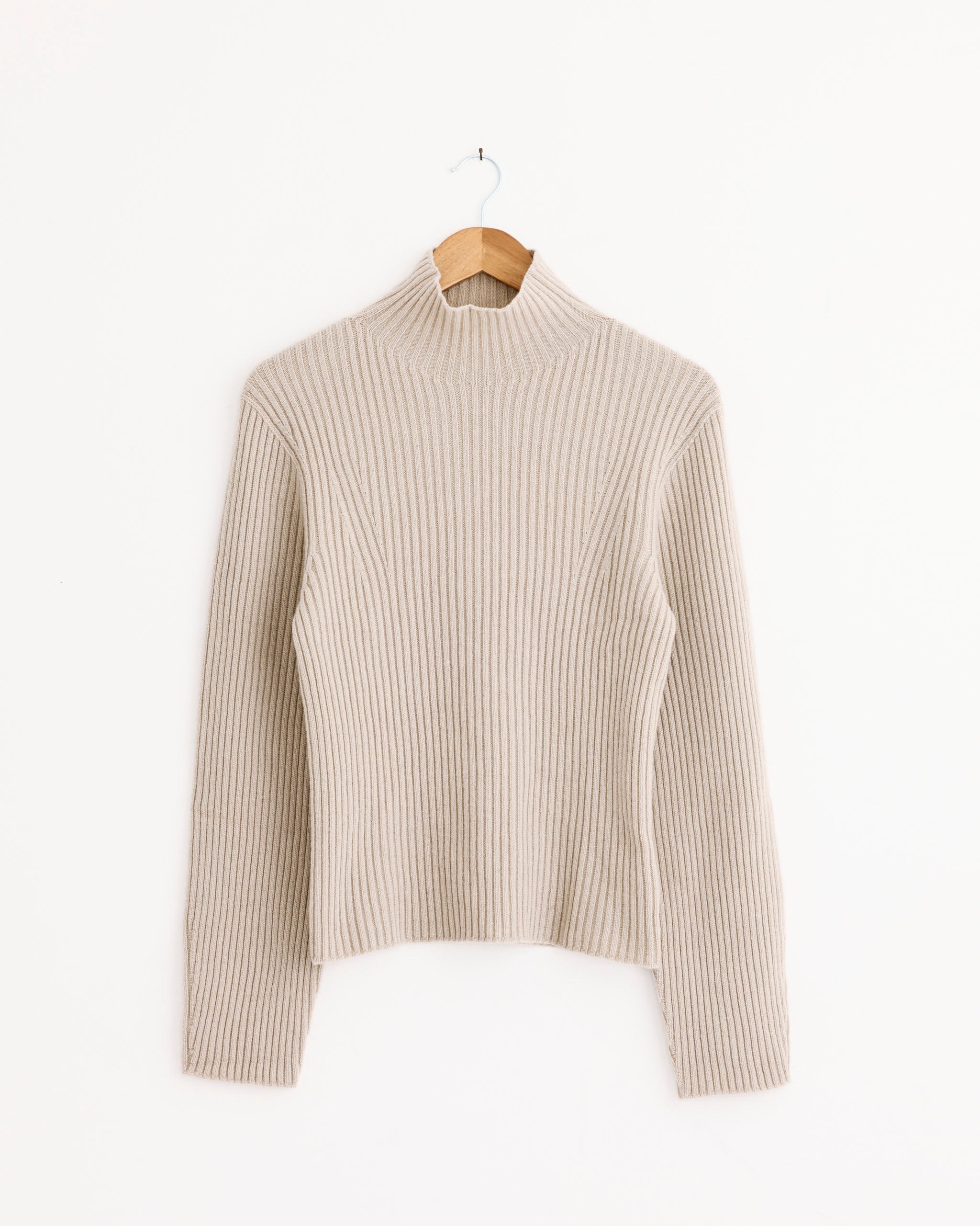 Ribbed Turtle Pullover in Beige