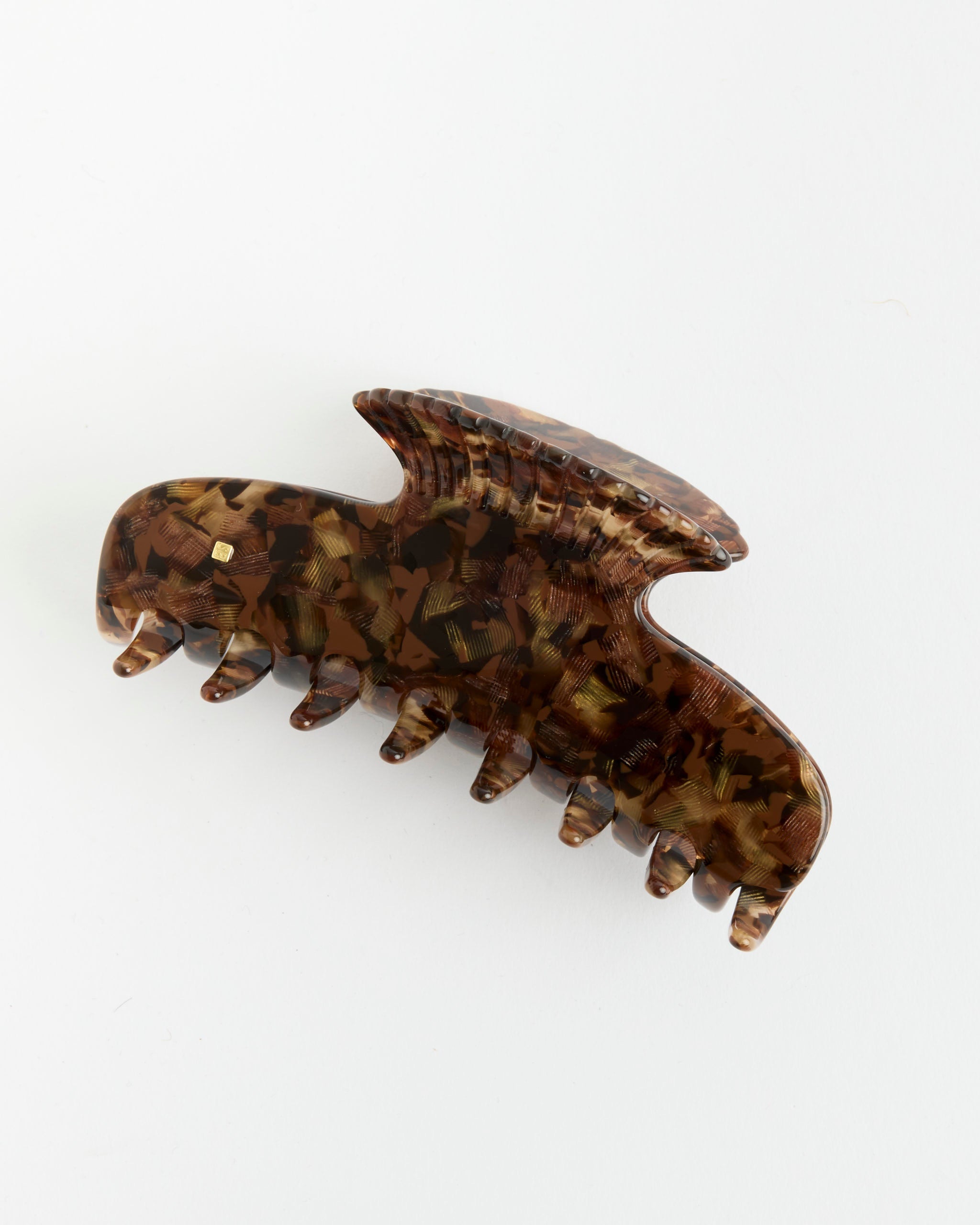 Fan Shell Claw in Ecaille