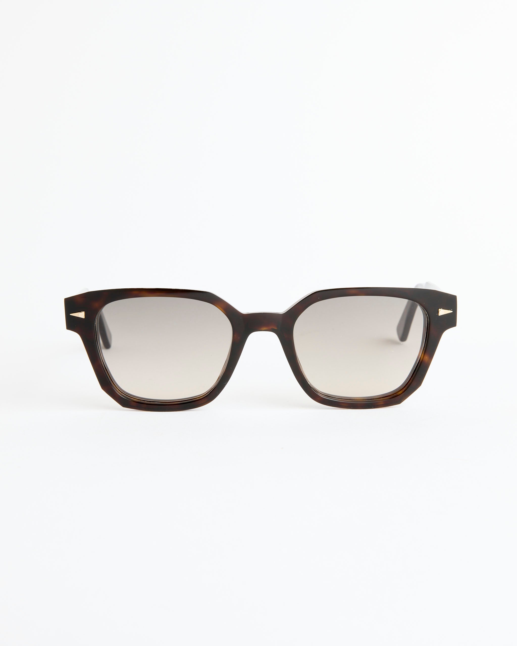 Saint Georges Sunglasses in Dark Turtle/Rain Gradient