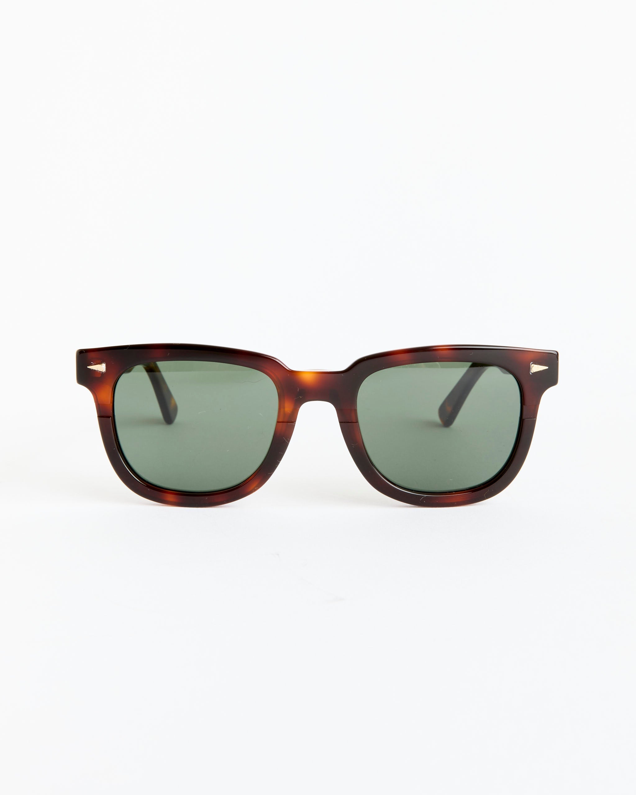 Square du Temple Sunglasses in Classic Turtle/G15