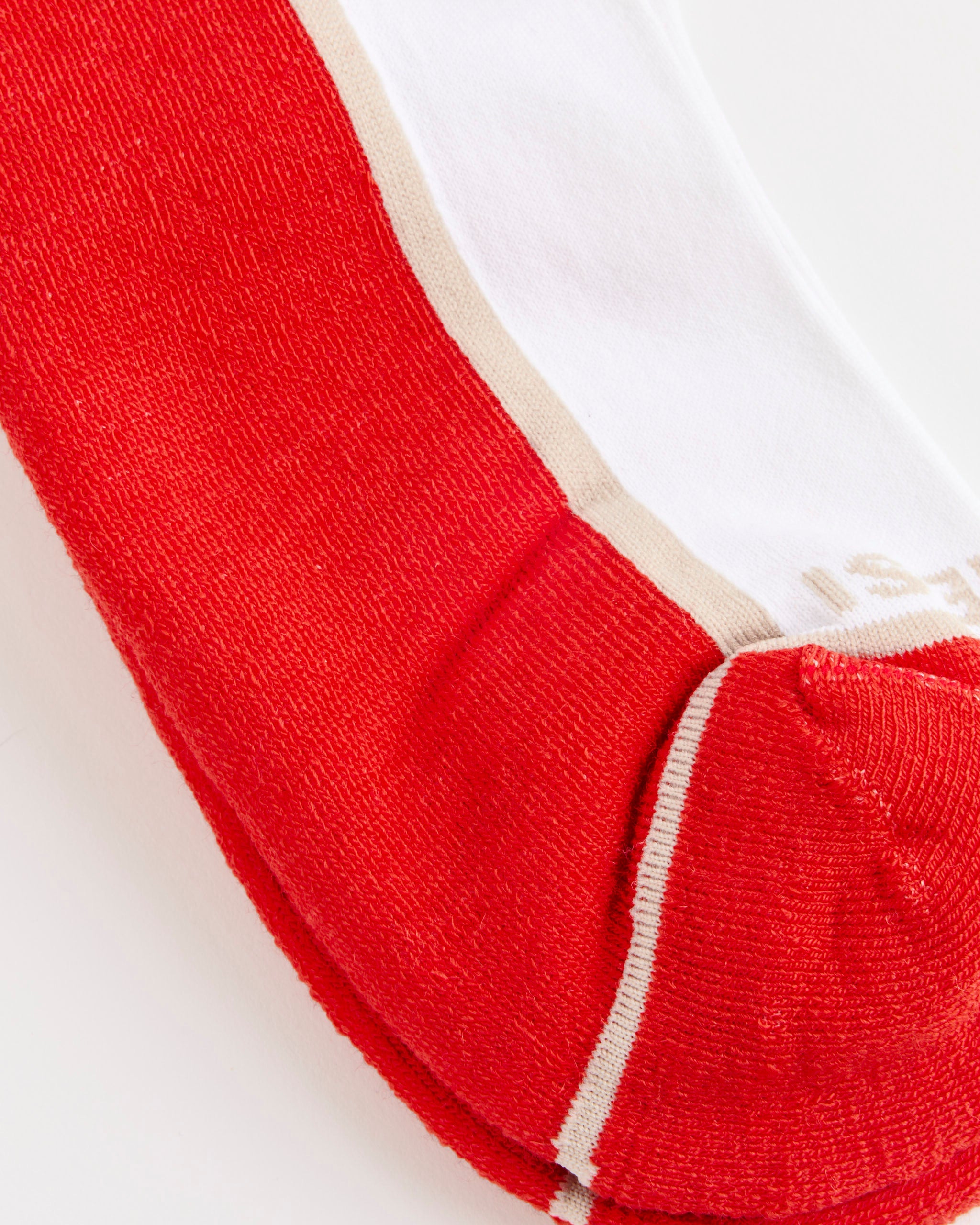 The Ski Socks in Flame