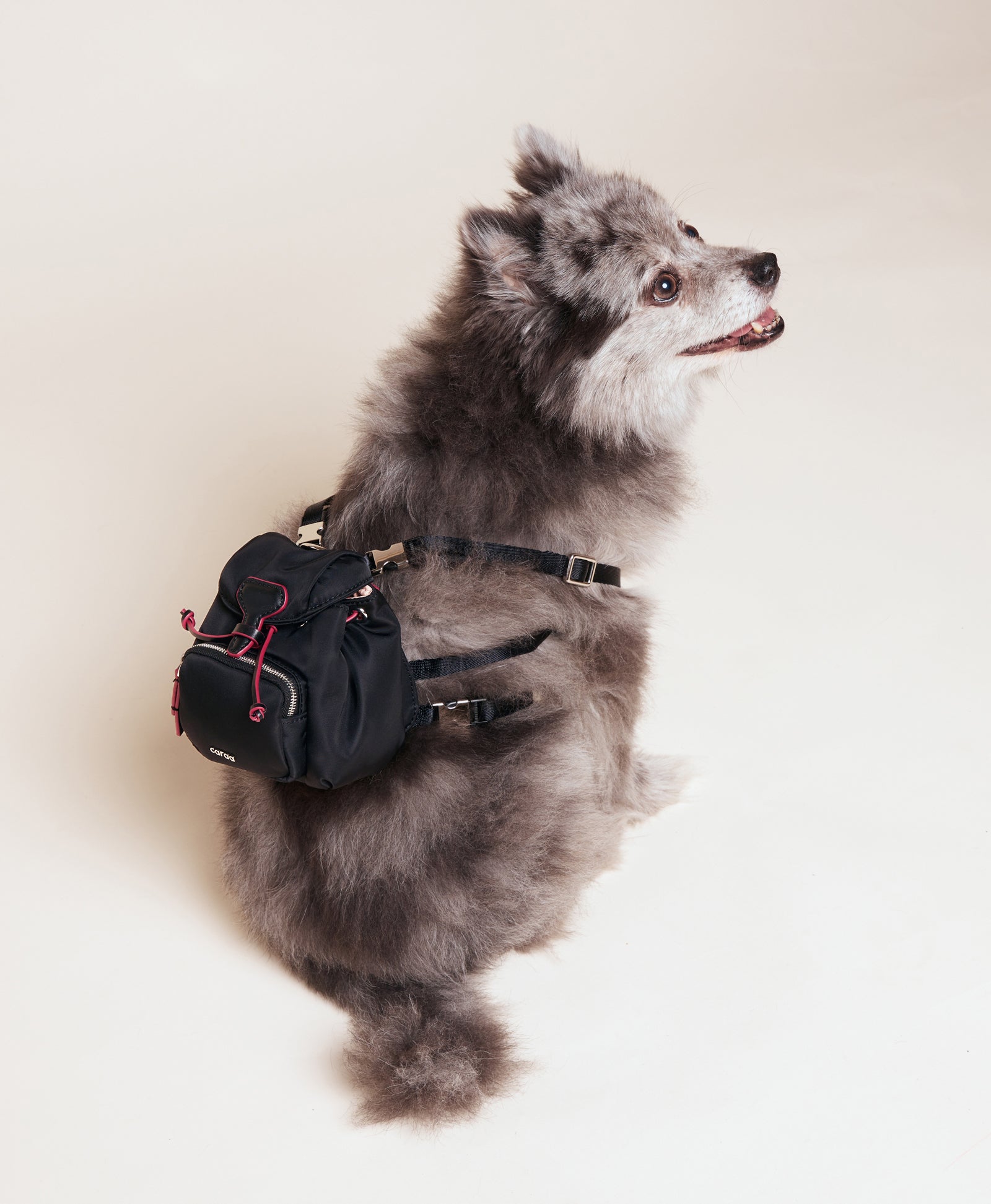 Dog Backpack