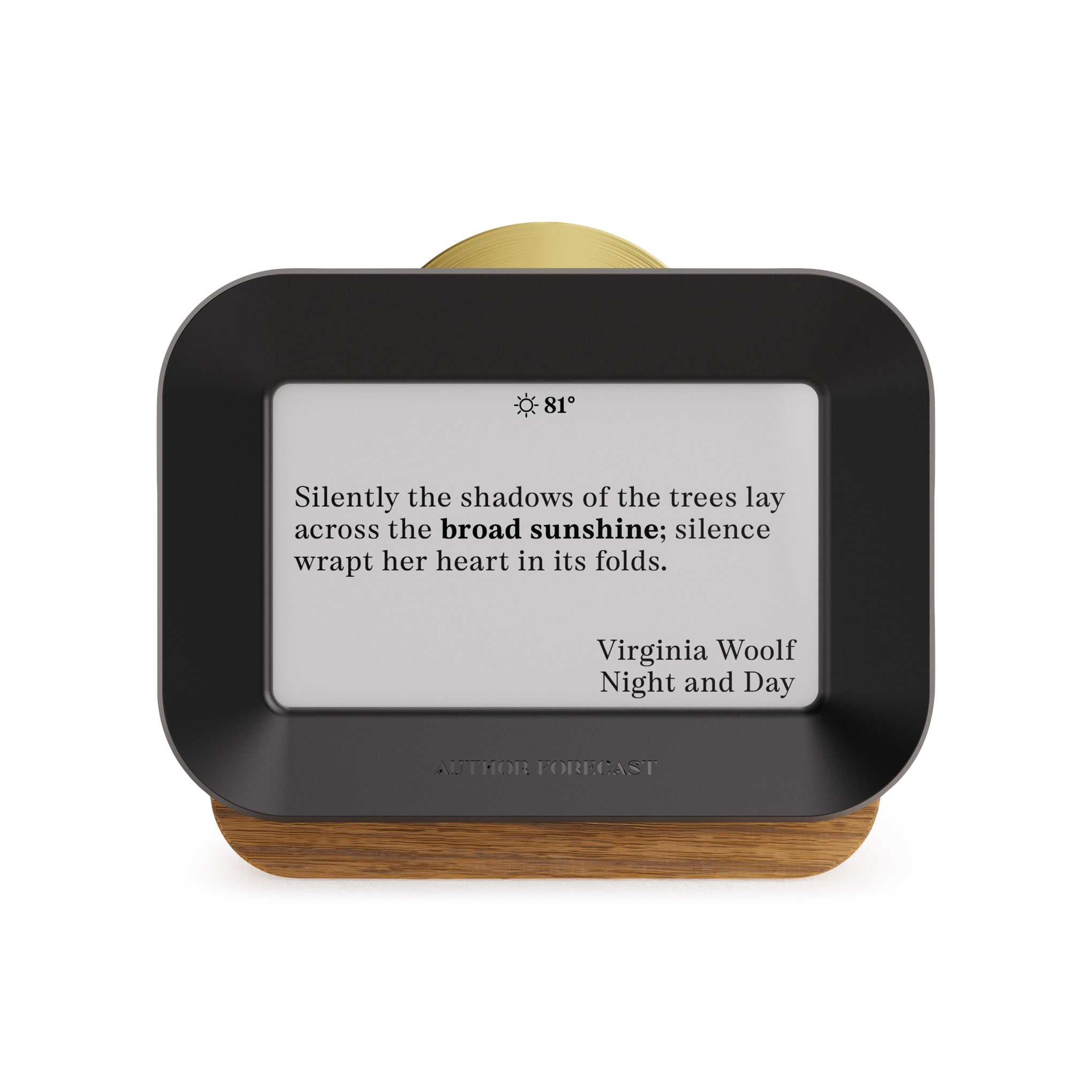 Author Forecast Digital Weathervane - Small
