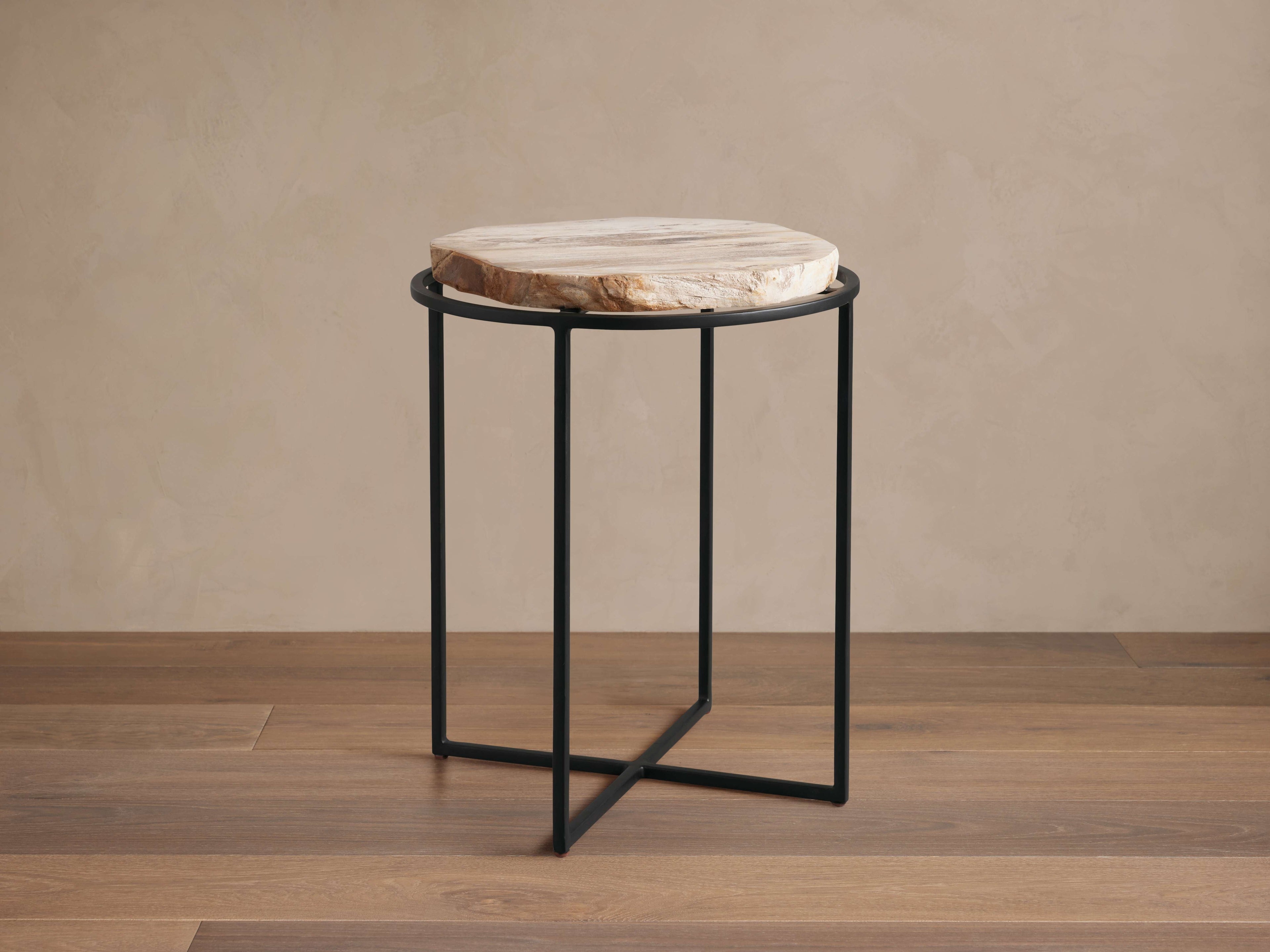 Petrified Side Table