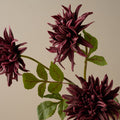 Autumnal Dahlia