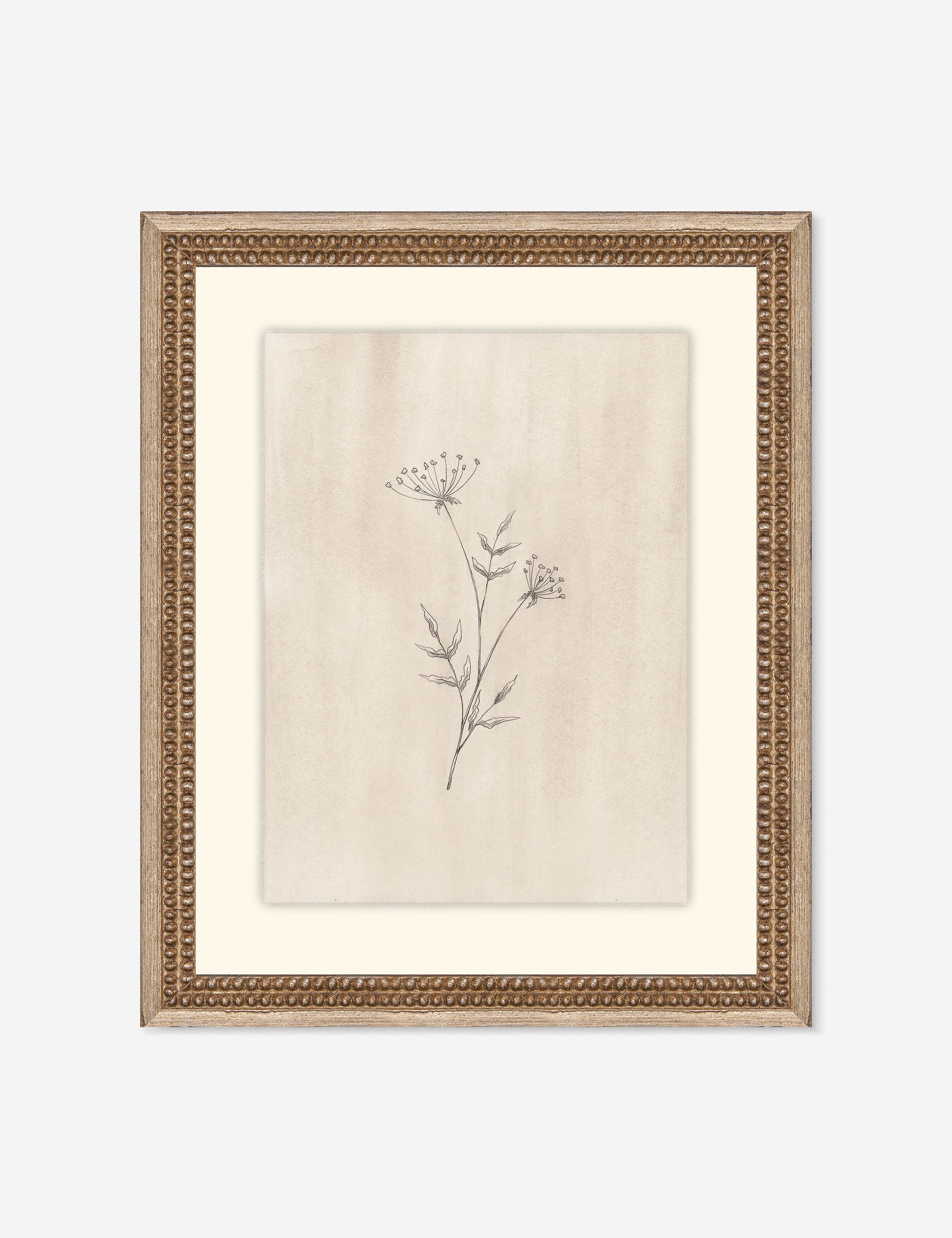 Elegant Botanical IV Wall Art by Makai Howell