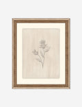 Elegant Botanical V Wall Art by Makai Howell