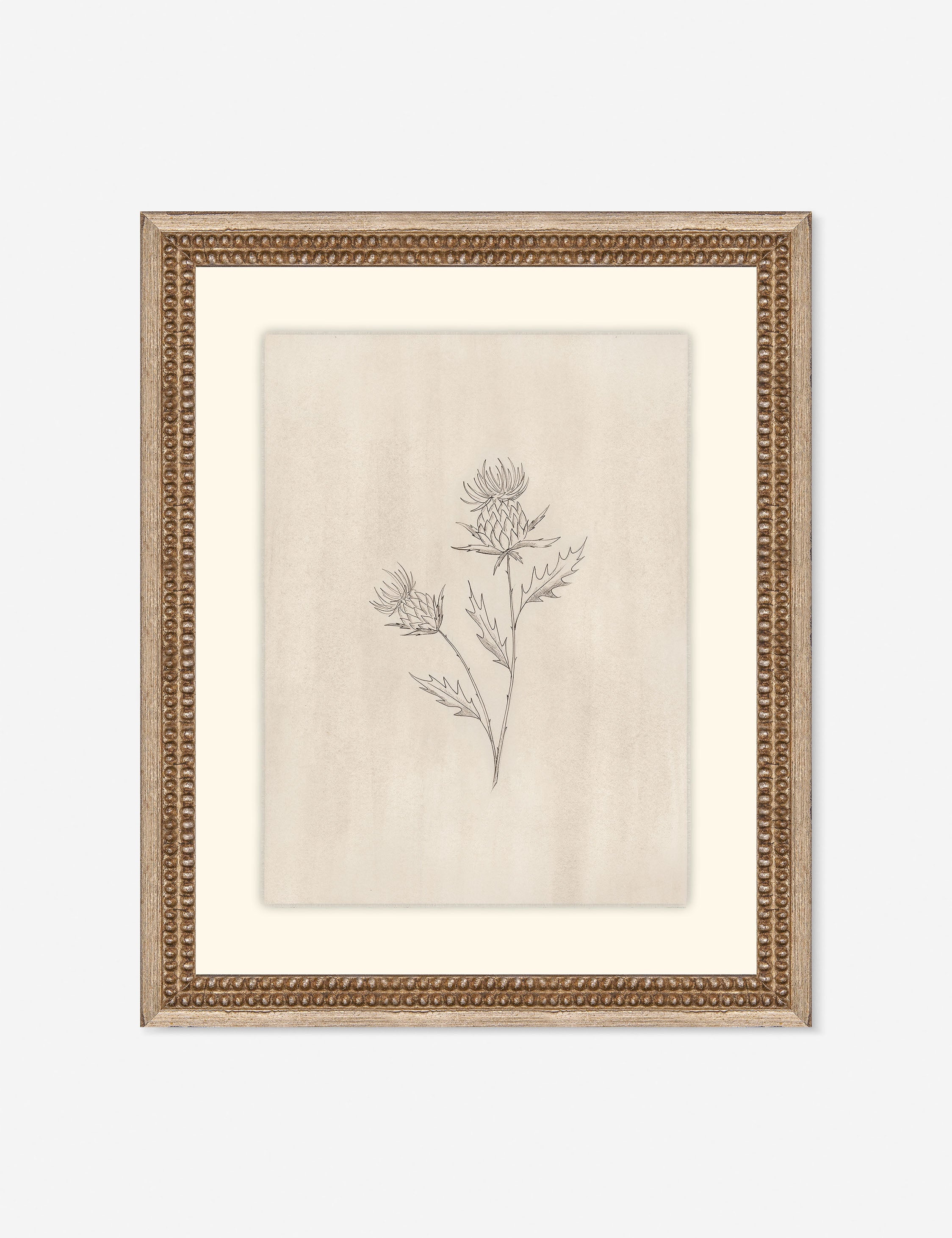 Elegant Botanical V Wall Art by Makai Howell