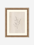 Elegant Botanical VI Wall Art by Makai Howell